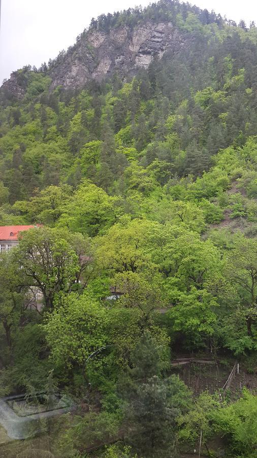 mariko Hotel Borjomi Eksteriør billede
